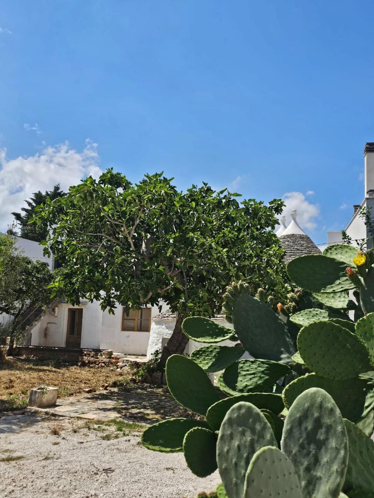 River Trulli Oasi Di Pace In Sito Unesco Alberobello Bagian luar foto