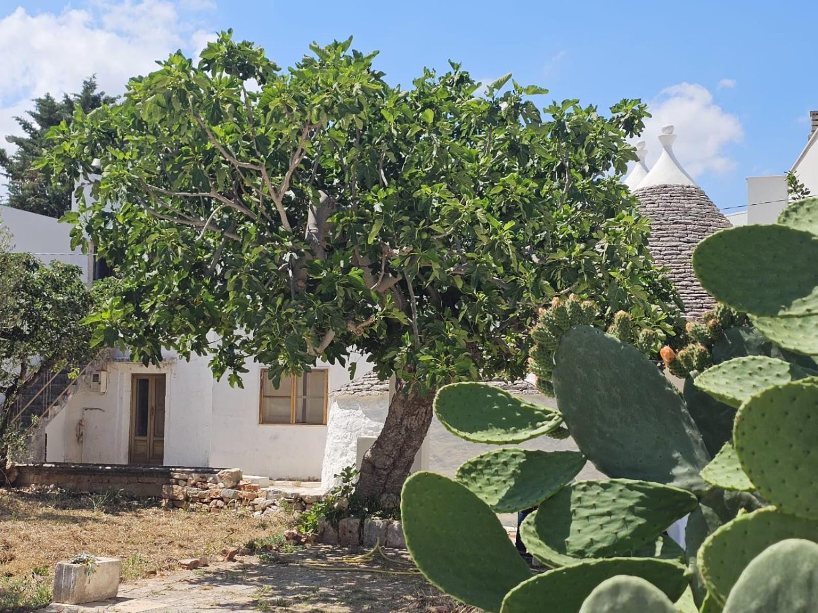 River Trulli Oasi Di Pace In Sito Unesco Alberobello Bagian luar foto